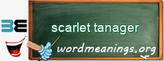 WordMeaning blackboard for scarlet tanager